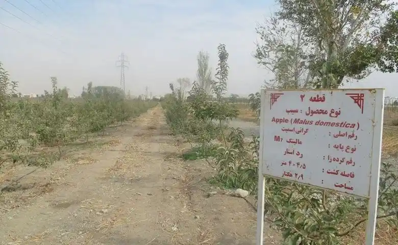 bagh syb mhrshhr bcfebf zon zon