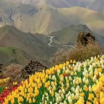 روستای کندر