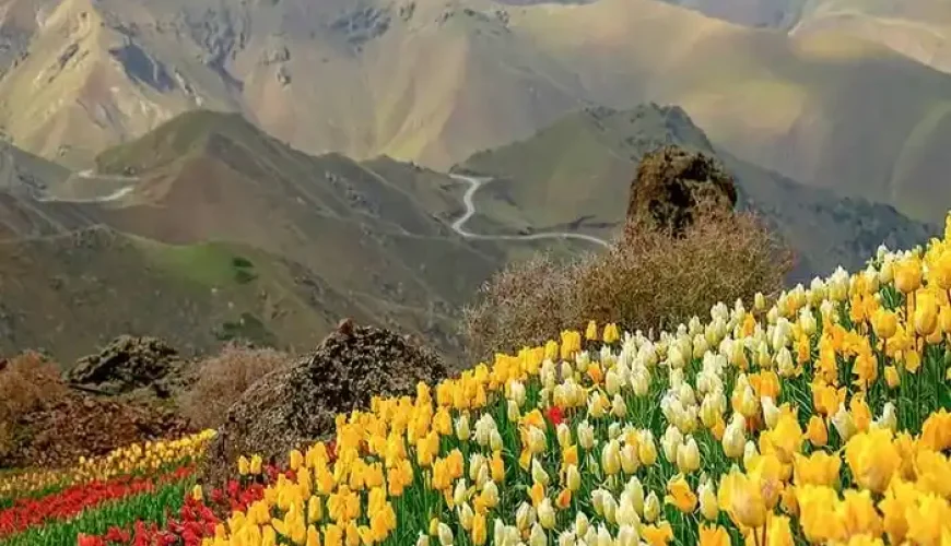 روستای کندر
