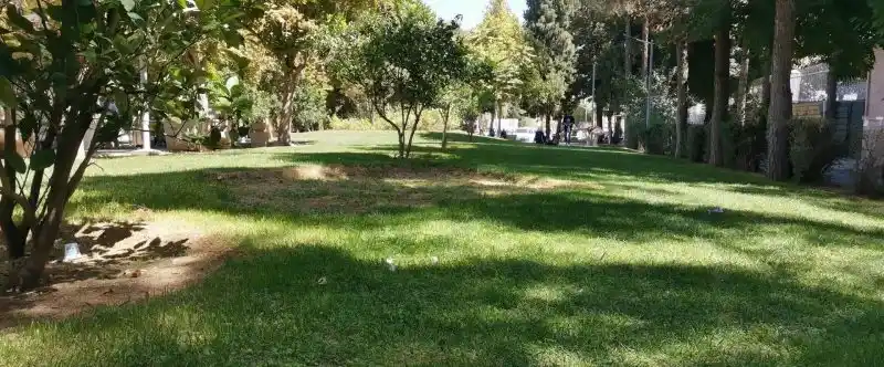 علوی e x