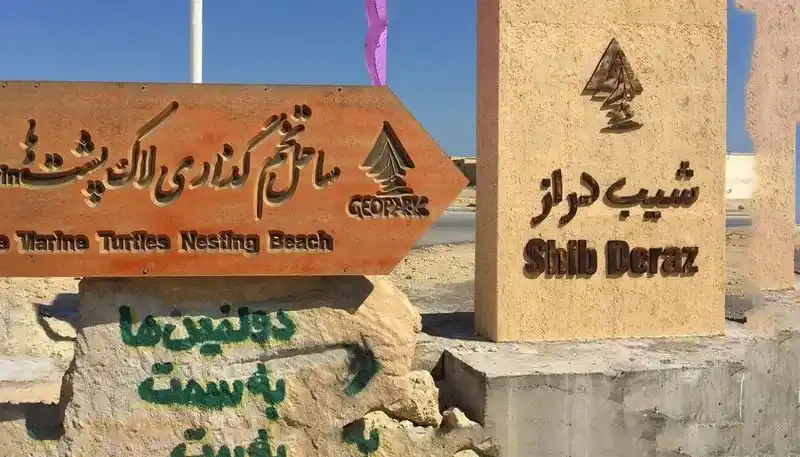 ساحل تخم گذاری لاک پشت ها در قشم
