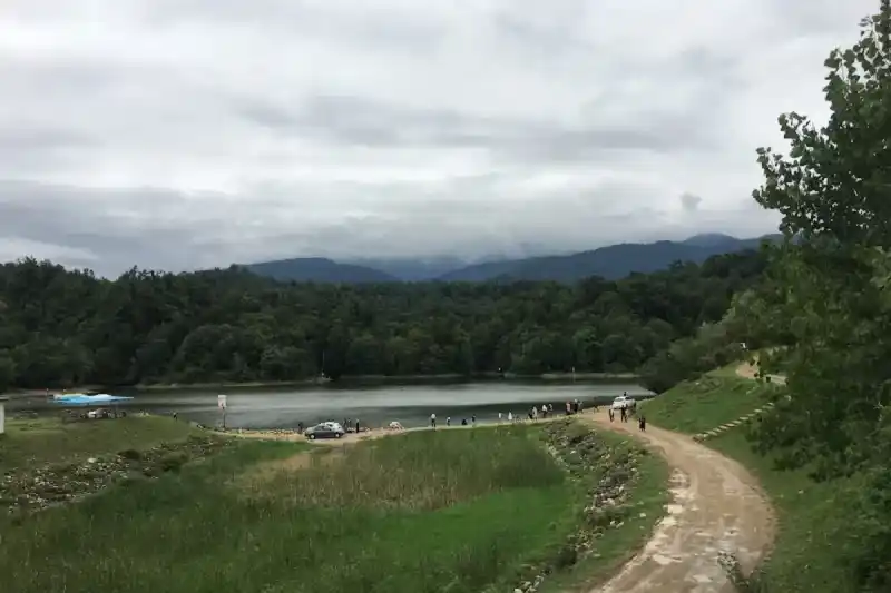 جنگل الیمالات نور x