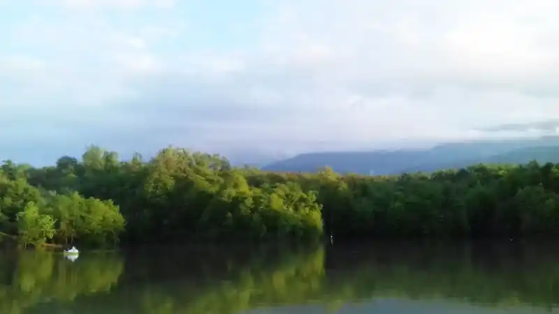 جنگل الیمالات نور x