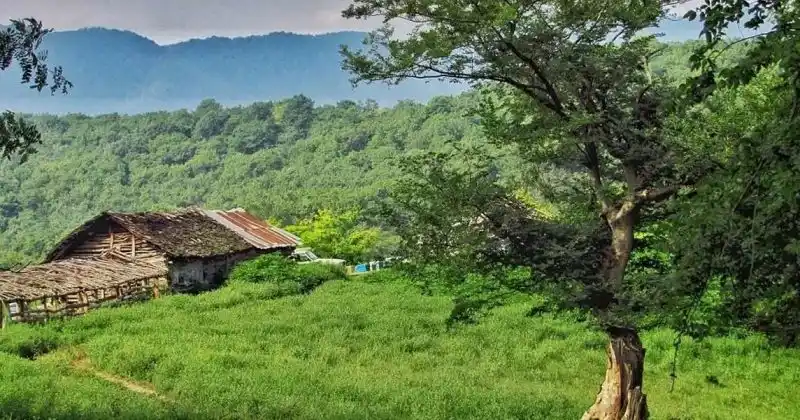 پارک جنگلی صفرا بسته؛ بهشت گیلان – 1