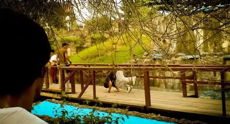 بوستان کشاورز رشت؛ آرامش طبیعت