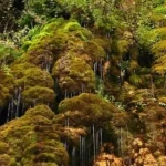 آبشار لاويج png