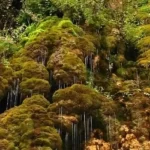 آبشار لاويج png