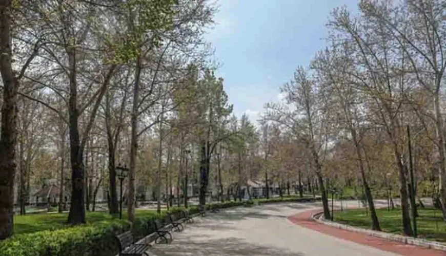 باغ شمال تبریز x