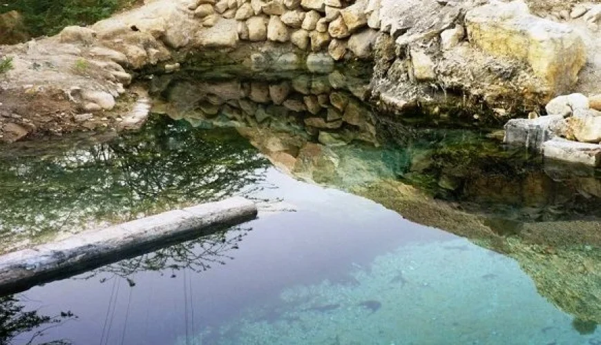 بی بی حبش e
