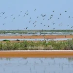 تالاب مره