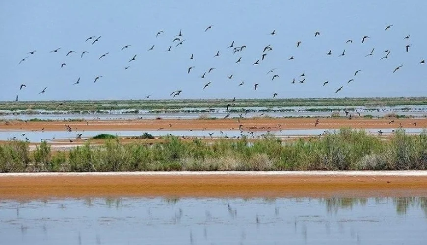 تالاب مره