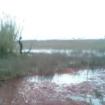 تالاب ميستان png