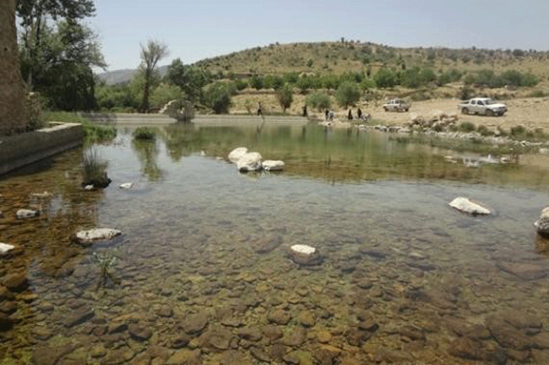 تسوج
