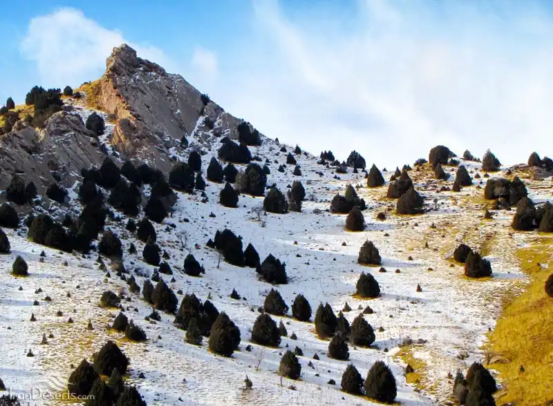 تفنگ دره