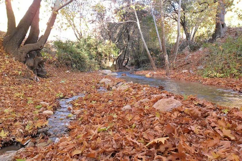 تنگ گنجه ای یاسوج