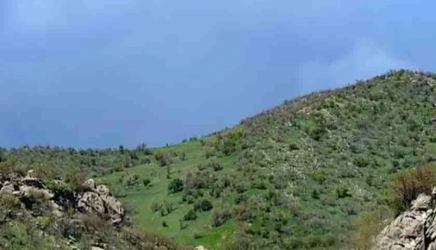 تپه تیانه x