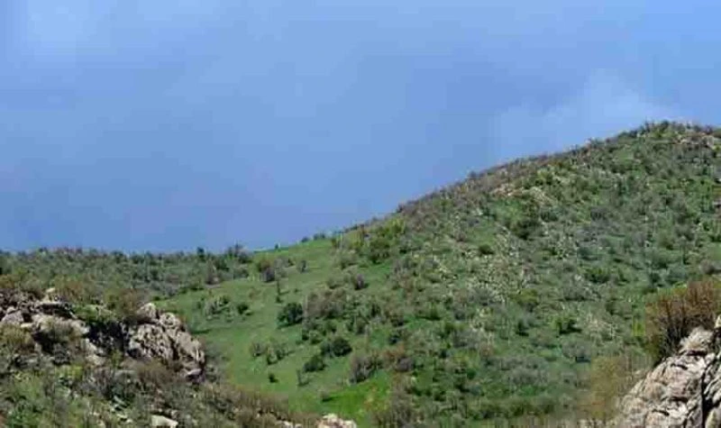 تپه تیانه x