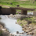 روستاي هرايزر