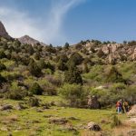 روستای هدف گردشگری بزد تربت جام