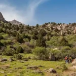 روستای هدف گردشگری بزد تربت جام