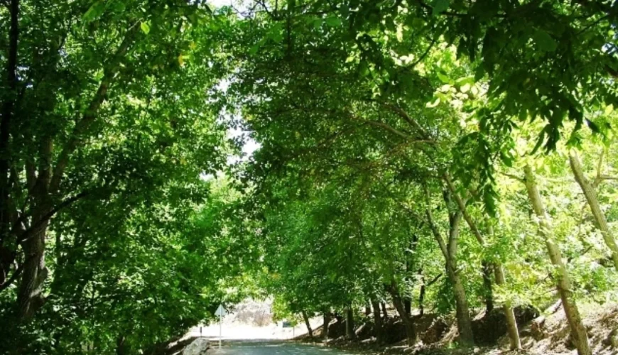 منطقه ييلاقي خلجستان png