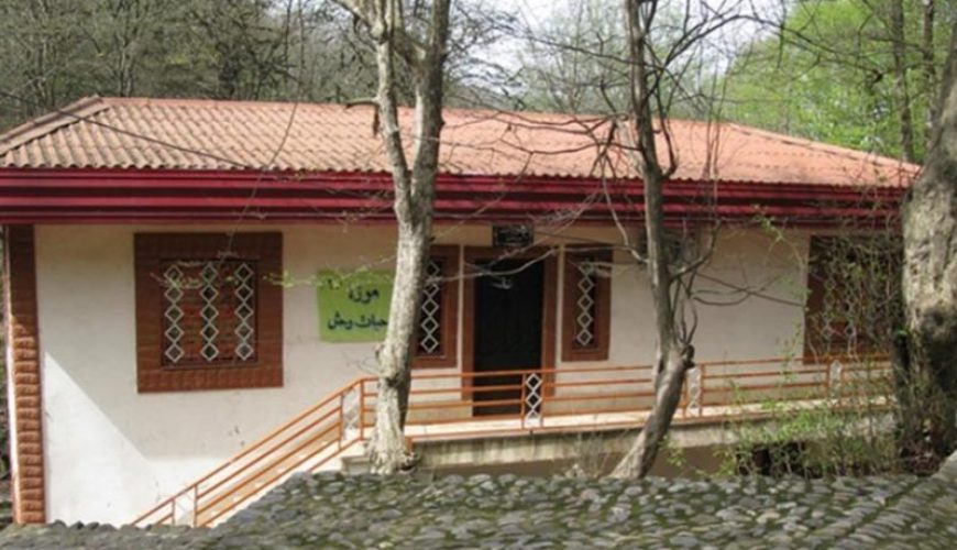 موزه تاریخ طبیعی علی آباد کتول x
