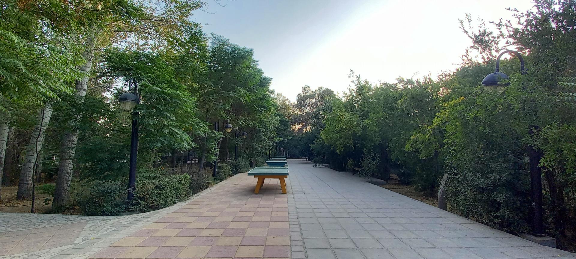 پارک بانوان ریحانه