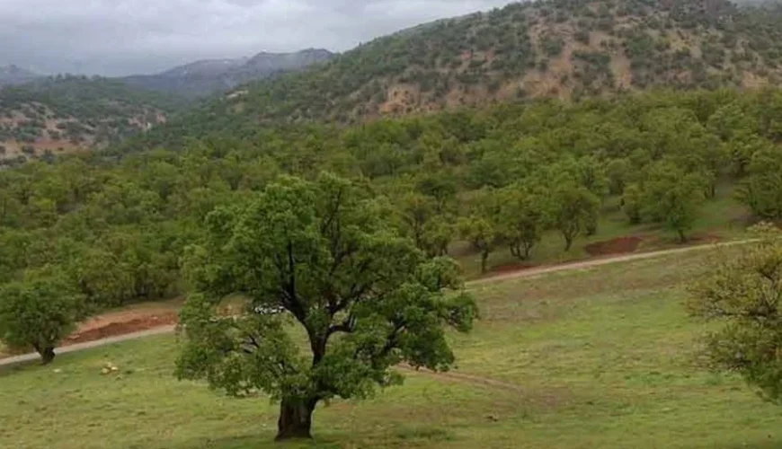 پارک یاسوج