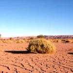 کوير مسيله png