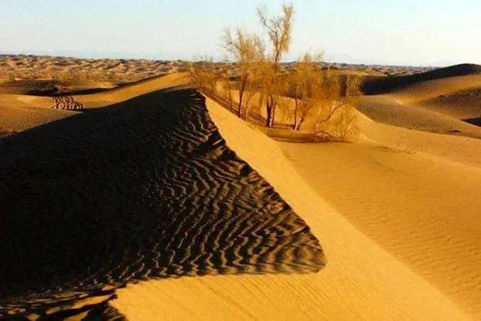 کویر جندق