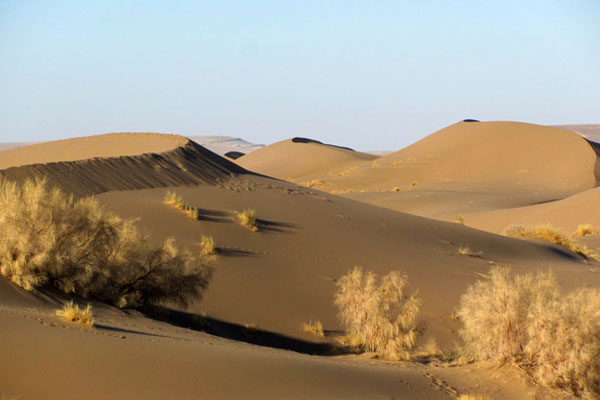 کویر ریگ شق