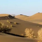 کویر ریگ شق