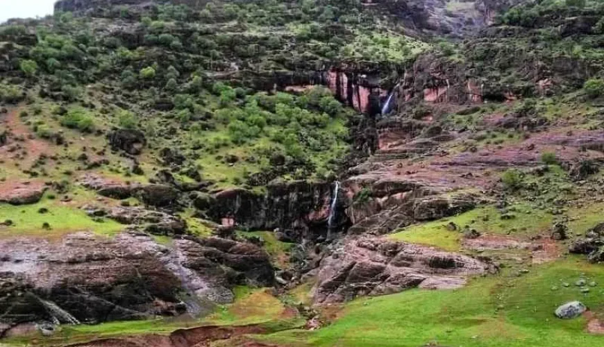 تنگ شبیخون