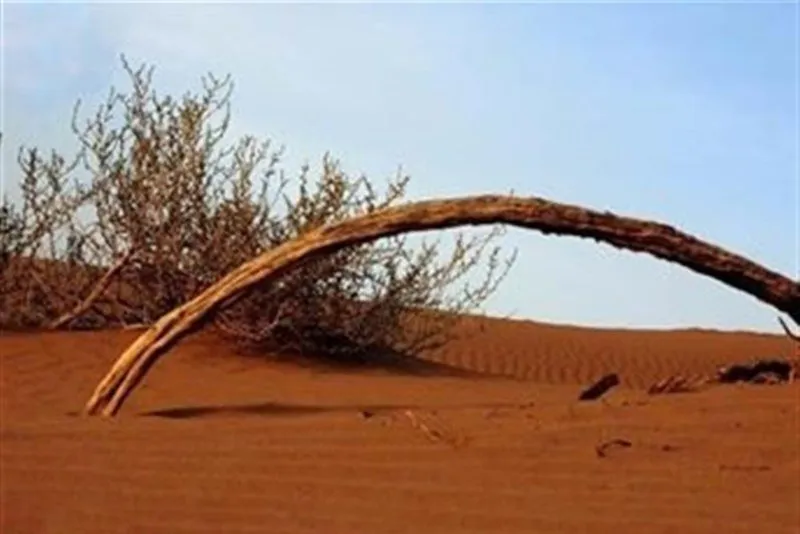 کویر ابوغویر دهلران x