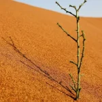 کویر ابوغویر دهلران x