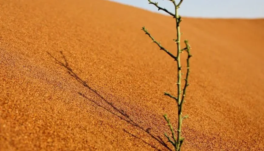 کویر ابوغویر دهلران x