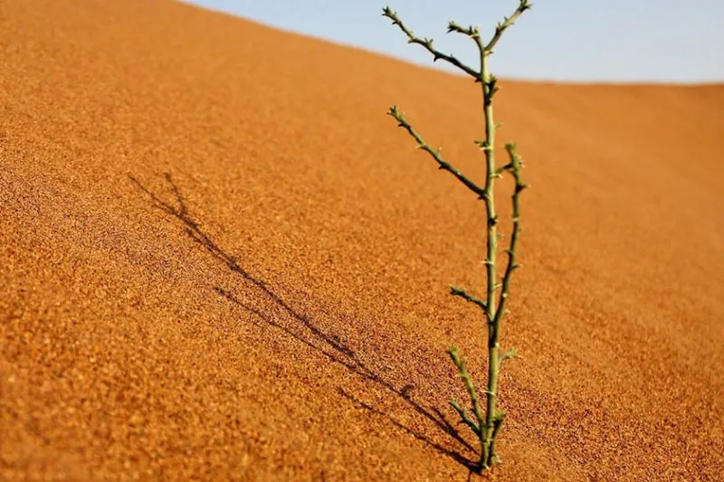 کویر ابوغویر دهلران x