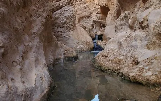 چشمه آبگرم گنوی در شهرستان دیر