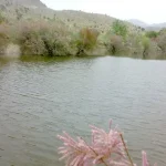 سد همند نهبندان؛ زندگی در دل کویر