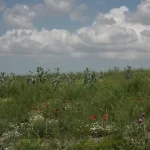 روستای گلشن نمین؛ نگین مرزی با قدمت فرهنگی