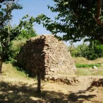 روستای میان ولایت تایباد | طبیعت و تاریخ