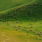 دره قزقان درگز | بهشت بهاری عشایر خراسان