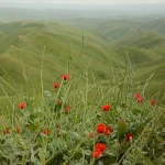 روستای گچی سو بالا | تجربه گردشگری روستایی گلستان