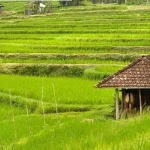 روستای کلوده محمودآباد | مرکز بخش اهلم