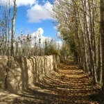 روستای اسفندان کمیجان | نگین گردشگری استان مرکزی