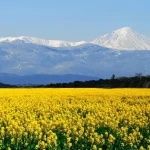 روستای میکلا قائمشهر | طبیعت بکر مازندران
