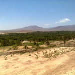 روستای چهار فرسخ شهداد | نگین سبز کویر