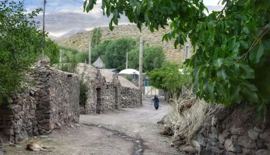 روستای بابزنگی راین کرمان | مرتفع و دیدنی