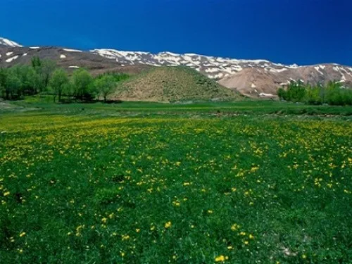 منطقه-جنگلی-اردل منطقه جنگلی اردل | نگین چهارمحال و بختیاری