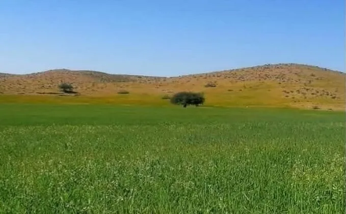 دهستان-بی-بی-حکیمه-گچساران دهستان بی بی حکیمه گچساران | بهار در زمستان